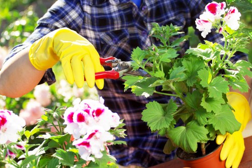 Beautifully maintained lawn services in Coney Hall